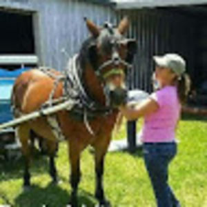 Meet your Posher, Rosalee